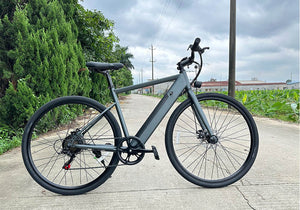 E7 Mountain Bike - grey