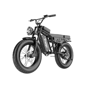 Black electric bike with 'Freewgo' branding on a gray background