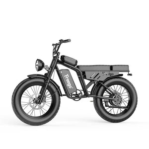 1000W Motor eBike