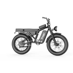 Shotgun F0 eBike