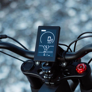 Freego Electric Bike LCD Display