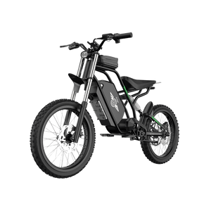Freego Nova 3 powerful dirt eBike, transparent background