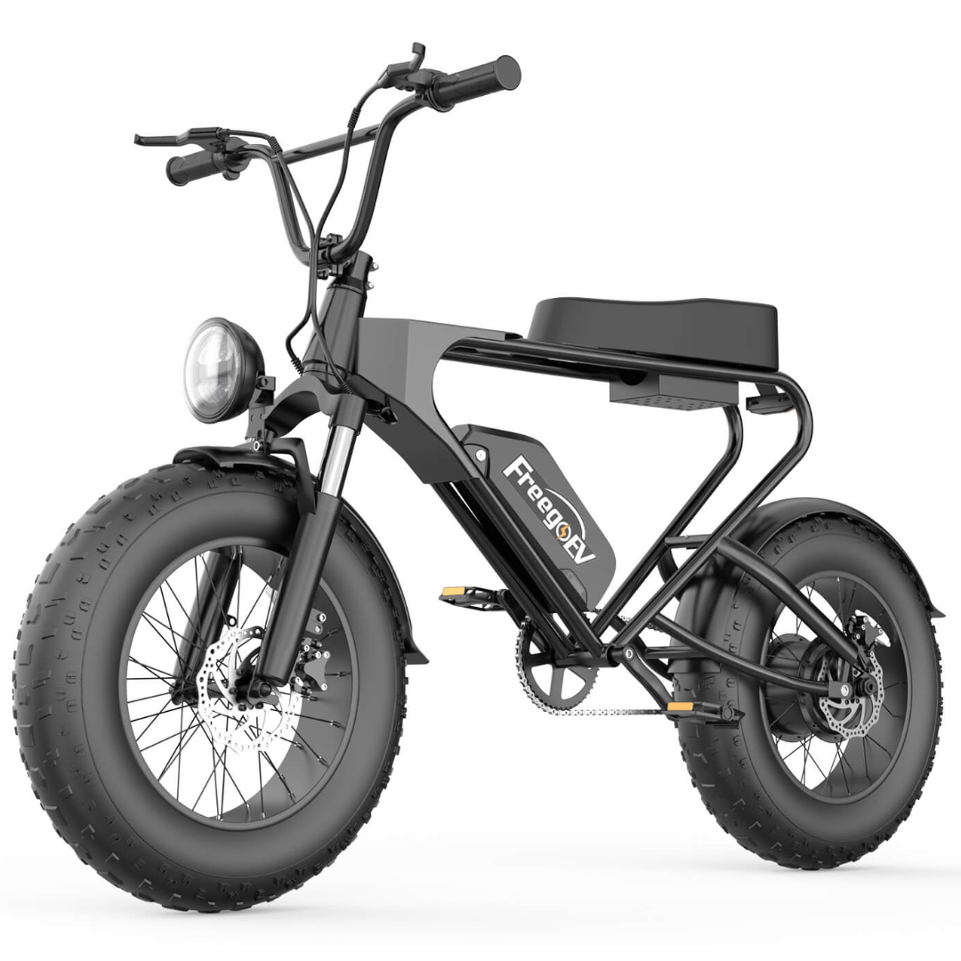 Freego DK200 Off-Road Mountain Electric Bike