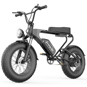Freego DK200 Off-Road Mountain Electric Bike