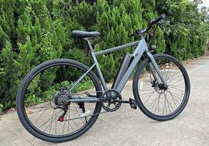 Freego E7 Electric Bicycle
