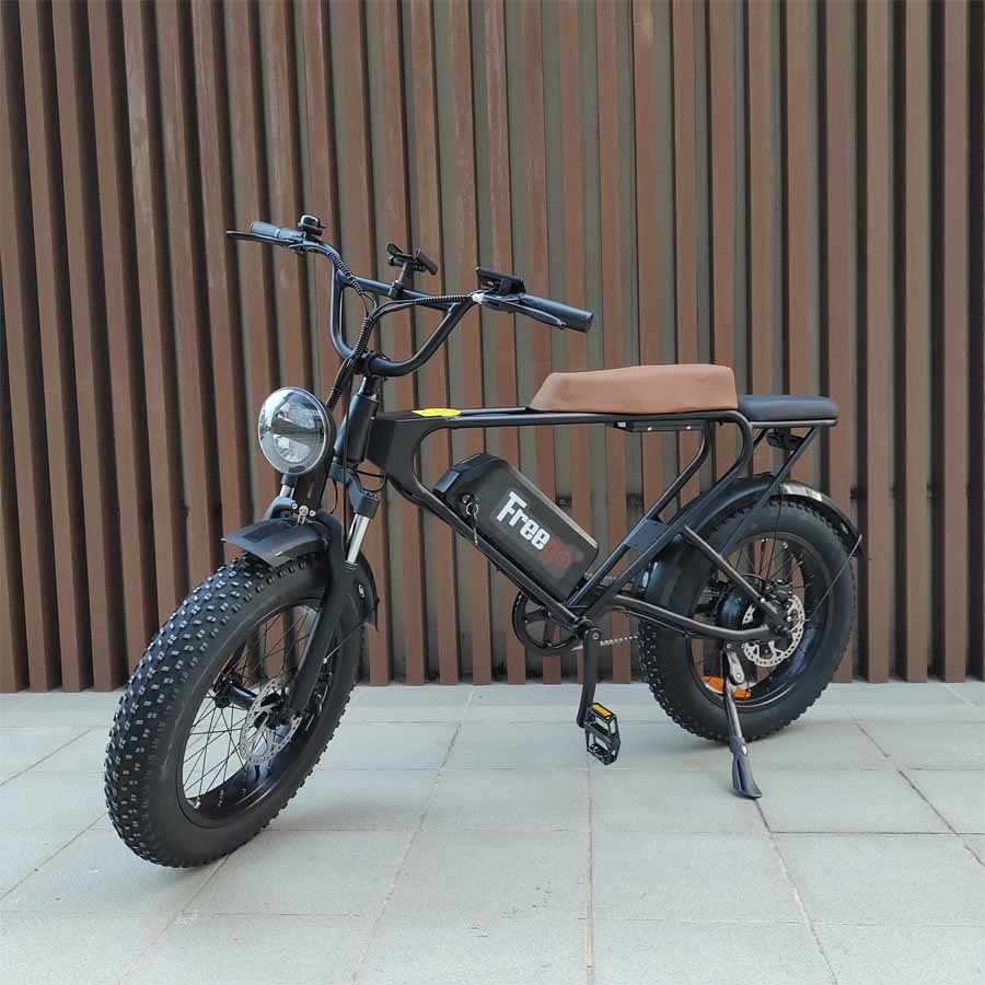 Freego DK200 Off-Road Mountain Electric Bike