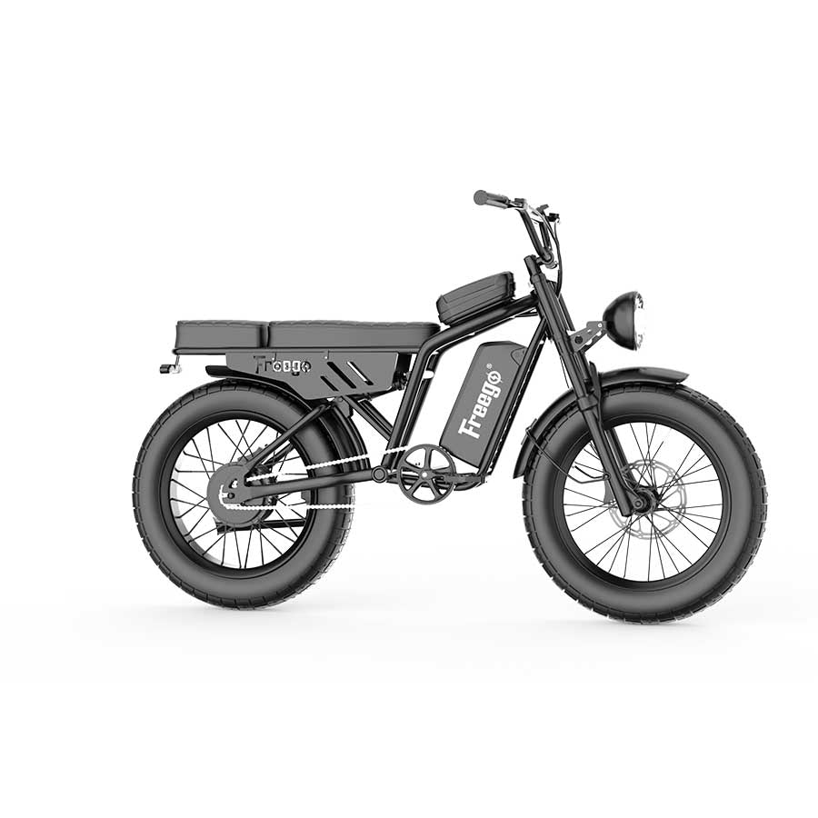 Shotgun F0 eBike