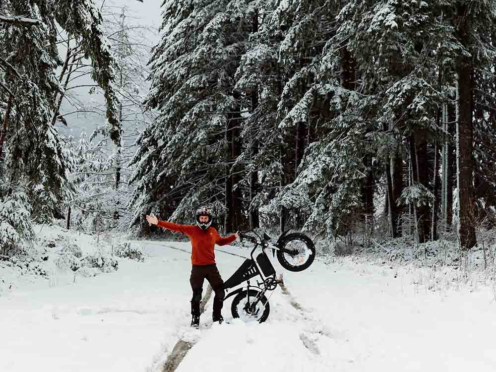 Freego Nachbike Swift S1 Snow Fat Tire Electric Bike