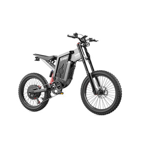 Freego X2 Dirt Master electric bike
