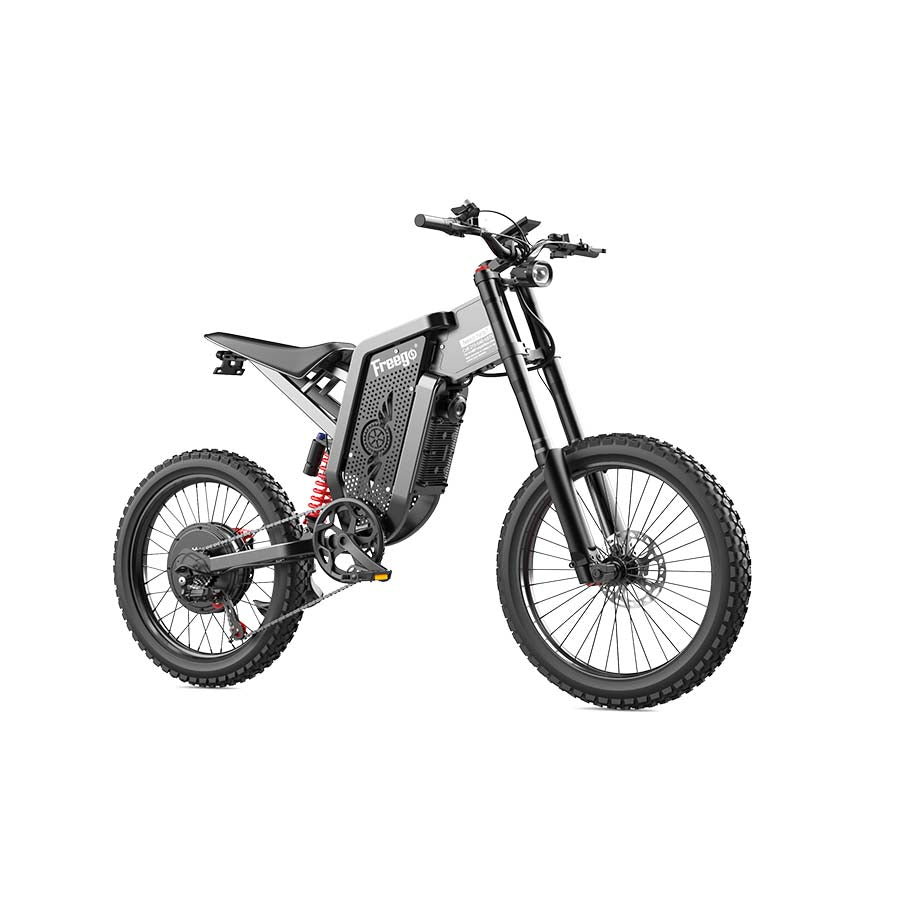 Freego X2 Dirt Master electric bike