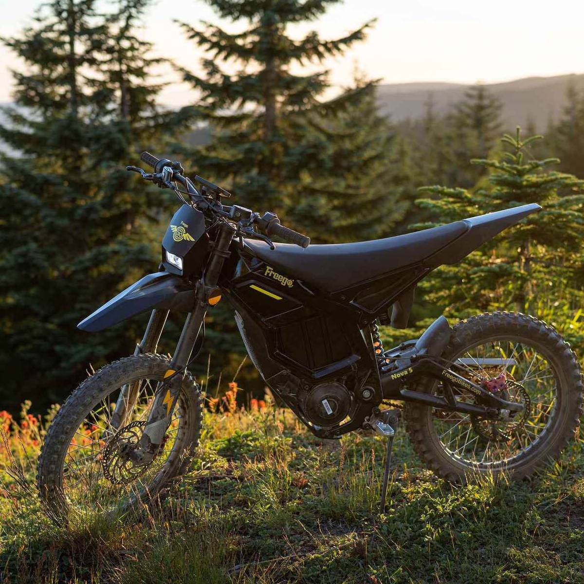 A black freego nova 5 electric dirt bike with yellow accents is parked on a grassy hillside in a forest during golden hour, with pine trees and distant hills in the background.