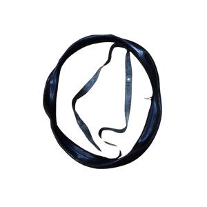 inner_tire for Nova 5